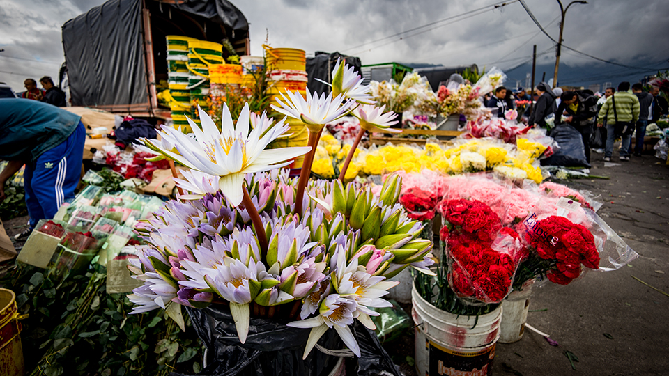 The flower market just outside has millions of colorful flowers on display!