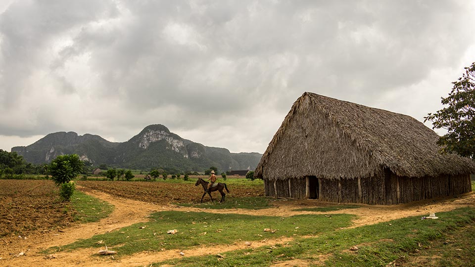 Views from the Valley! The barn seen here, a Casa de Tabaco or House of Tobacco, is where they hang the tobacco leaves for curing before they roll them up.