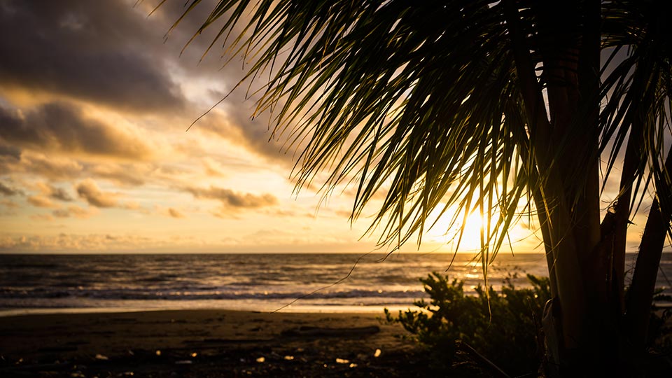 If you haven't figured it out by now, I'm kind of in love with sunsets. This one was enjoyed on the Colombian Pacific in the remote village of La Barra.