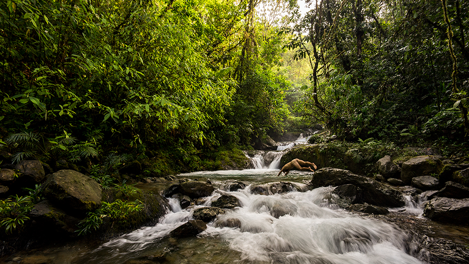 Very possibly the most beautiful day in my life so far. Running alone, naked, around the Chocó Rainforest. I've never felt so alive, so free! (The camera is on a tripod and I use a remote to trigger the camera)